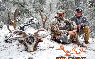 7 DAY TROPHY MULE DEER HUNT | ARIZONA