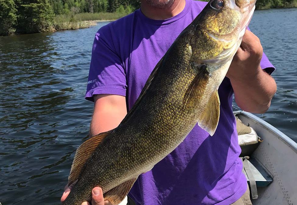 Pickerel Creek Camp