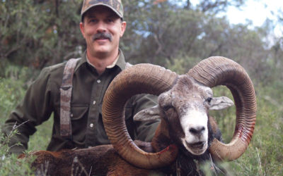 HUNT TRIP SPAIN by FRANCISCO ROSICH