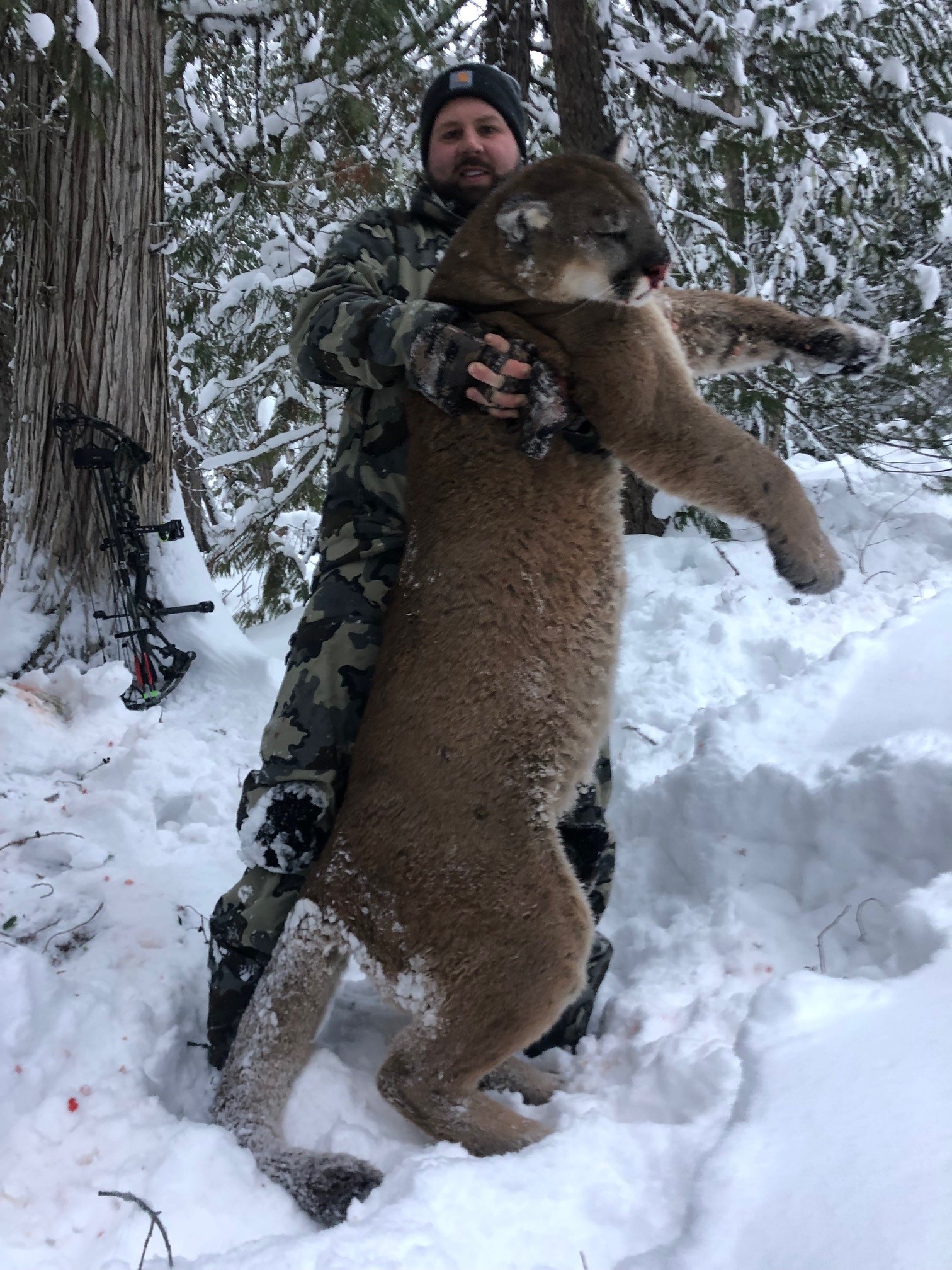 WMBH-Cougar Lance DeYoung