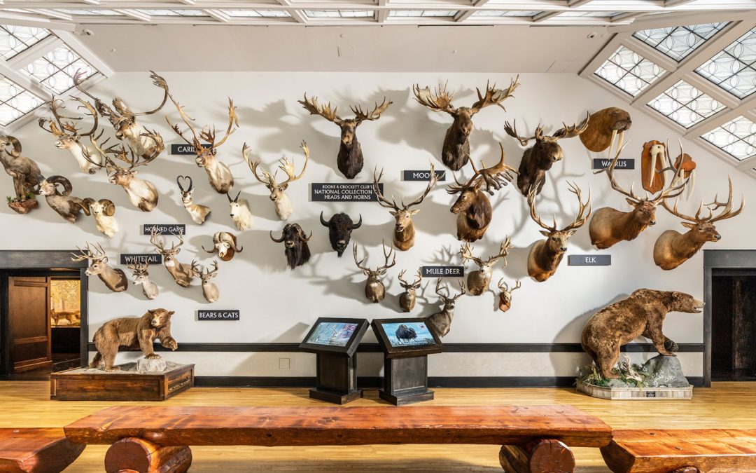 The History—and Future—of Trophy Hunting in North America