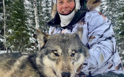 WOLF HUNT | NORTHERN, ONTARIO