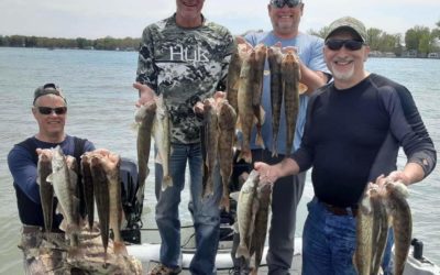 WALLEYE CHARTER TRIP